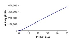 Sino Biological&nbsp;Recombinant Human c-MET/HGFR Protein (V1092I, GST Tag), Active